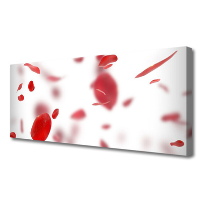 Tableaux sur toile Pétales de rose floral rouge blanc