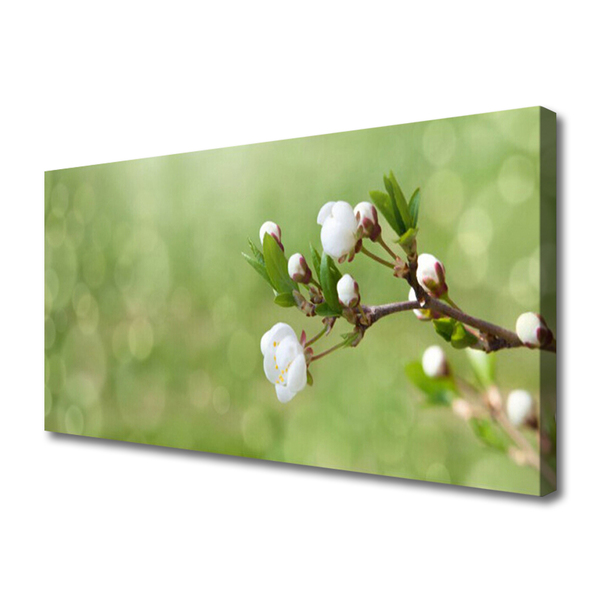 Tableaux sur toile Fleurs floral vert blanc