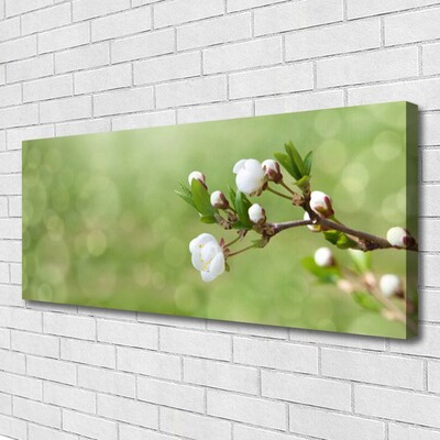 Tableaux sur toile Fleurs floral vert blanc