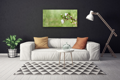 Tableaux sur toile Fleurs floral vert blanc