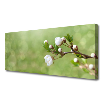 Tableaux sur toile Fleurs floral vert blanc