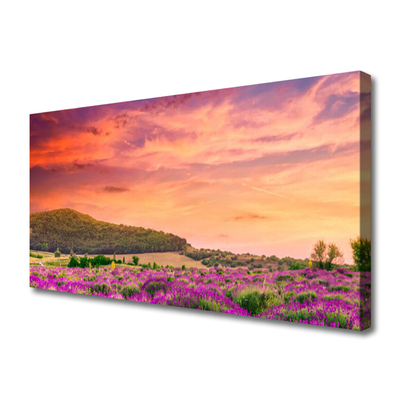 Tableaux sur toile Prairie fleurs paysage violet vert rose