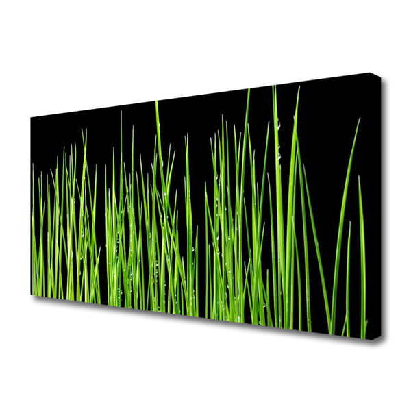 Tableaux sur toile Herbe floral vert noir