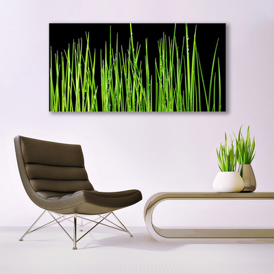 Tableaux sur toile Herbe floral vert noir