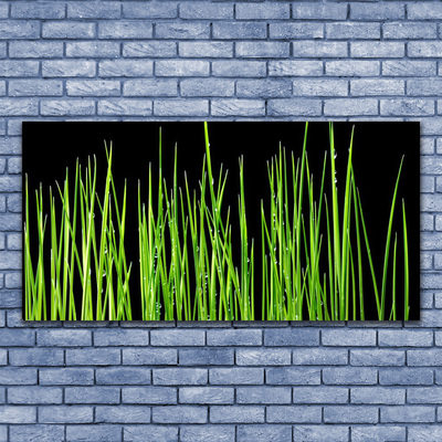 Tableaux sur toile Herbe floral vert noir