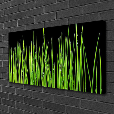 Tableaux sur toile Herbe floral vert noir