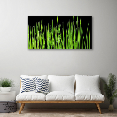 Tableaux sur toile Herbe floral vert noir