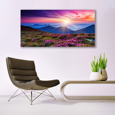 Tableaux sur toile Montagnes prairie fleurs paysage violet rose bleu vert