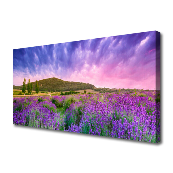 Tableaux sur toile Prairie fleurs montagnes nature vert violet bleu rose