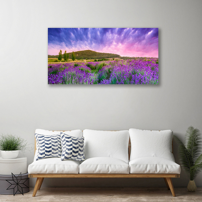 Tableaux sur toile Prairie fleurs montagnes nature vert violet bleu rose