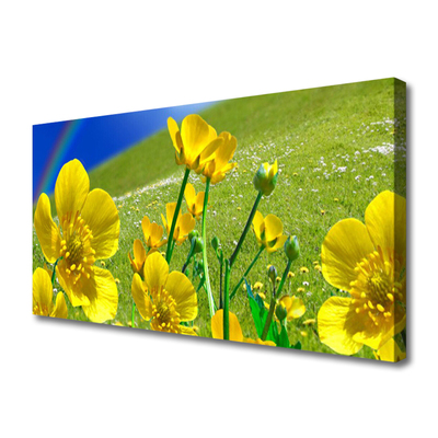 Tableaux sur toile Prairie fleurs arc en ciel nature jaune bleu vert