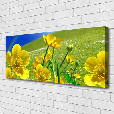 Tableaux sur toile Prairie fleurs arc en ciel nature jaune bleu vert