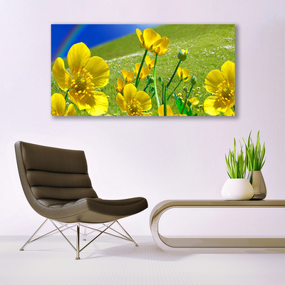 Tableaux sur toile Prairie fleurs arc en ciel nature jaune bleu vert