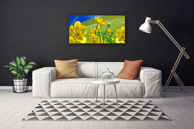 Tableaux sur toile Prairie fleurs arc en ciel nature jaune bleu vert