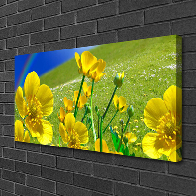 Tableaux sur toile Prairie fleurs arc en ciel nature jaune bleu vert