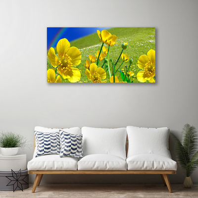 Tableaux sur toile Prairie fleurs arc en ciel nature jaune bleu vert