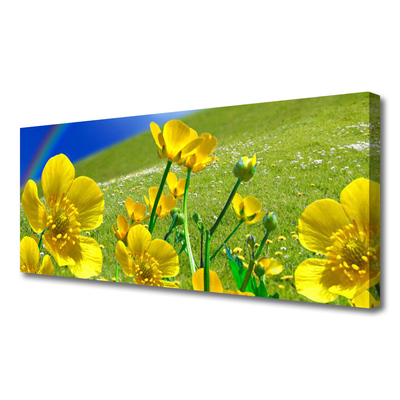 Tableaux sur toile Prairie fleurs arc en ciel nature jaune bleu vert