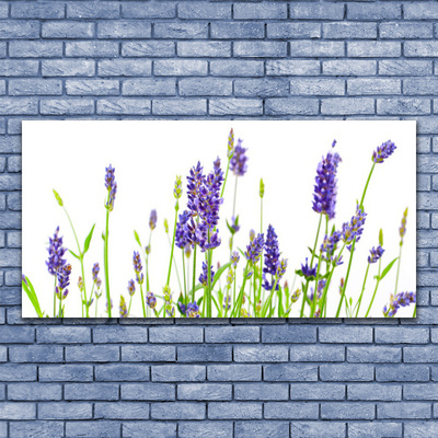 Tableaux sur toile Fleurs floral violet vert blanc