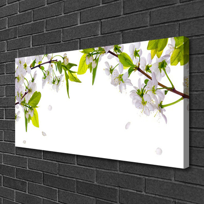 Tableaux sur toile Fleurs feuilles nature blanc vert