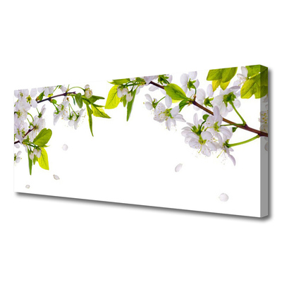 Tableaux sur toile Fleurs feuilles nature blanc vert