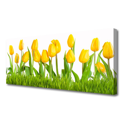 Tableaux sur toile Tulipes floral jaune vert blanc