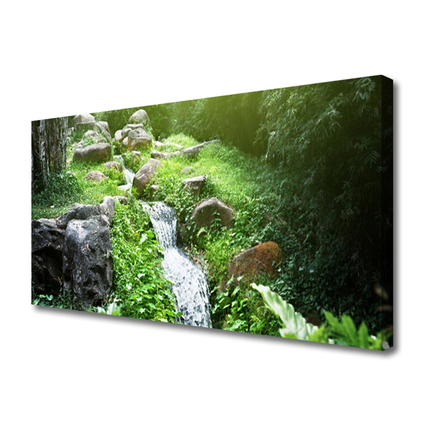 Tableaux sur toile Ruisseau herbes pierres nature vert blanc gris