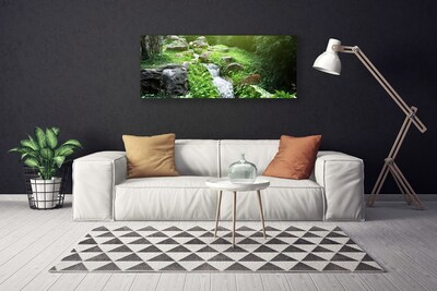 Tableaux sur toile Ruisseau herbes pierres nature vert blanc gris