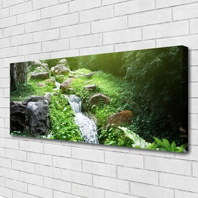 Tableaux sur toile Ruisseau herbes pierres nature vert blanc gris