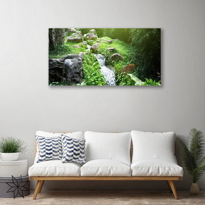 Tableaux sur toile Ruisseau herbes pierres nature vert blanc gris