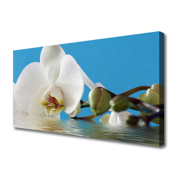 Tableaux sur toile Fleur floral blanc vert bleu