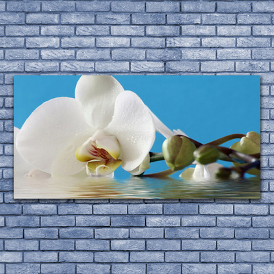 Tableaux sur toile Fleur floral blanc vert bleu