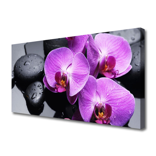 Tableaux sur toile Fleurs pierres floral violet noir