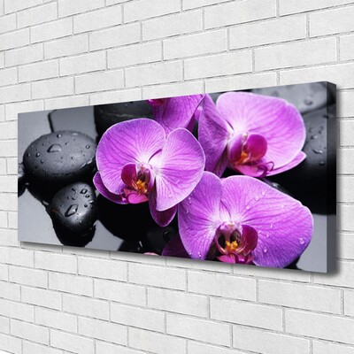 Tableaux sur toile Fleurs pierres floral violet noir