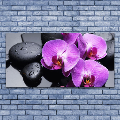 Tableaux sur toile Fleurs pierres floral violet noir