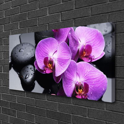 Tableaux sur toile Fleurs pierres floral violet noir