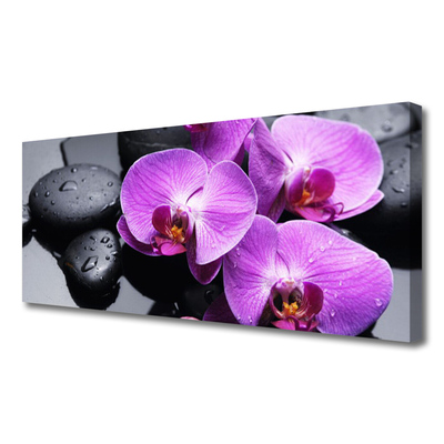 Tableaux sur toile Fleurs pierres floral violet noir