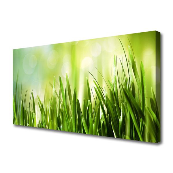 Tableaux sur toile Herbe nature vert