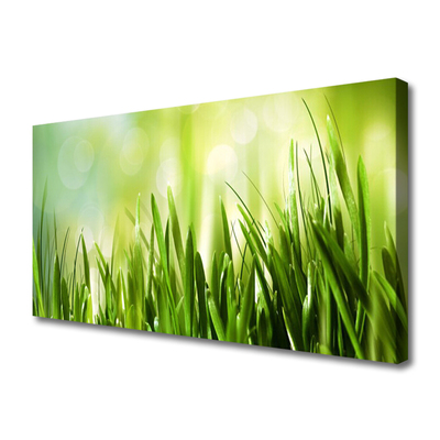 Tableaux sur toile Herbe nature vert