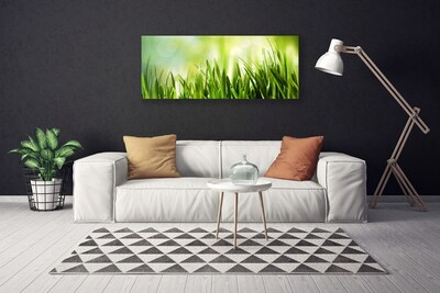 Tableaux sur toile Herbe nature vert