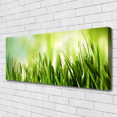 Tableaux sur toile Herbe nature vert