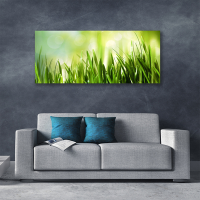 Tableaux sur toile Herbe nature vert