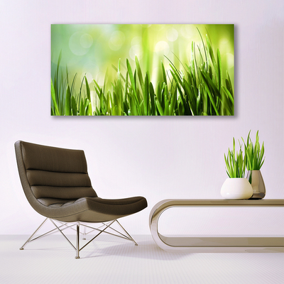 Tableaux sur toile Herbe nature vert