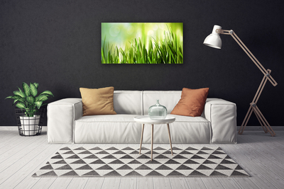 Tableaux sur toile Herbe nature vert