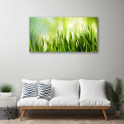 Tableaux sur toile Herbe nature vert