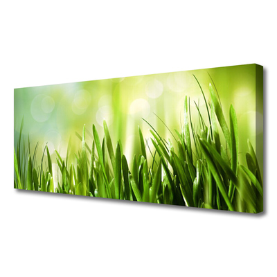 Tableaux sur toile Herbe nature vert