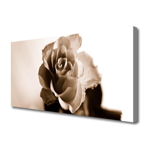 Tableaux sur toile Rose floral sépia