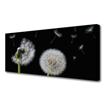 Tableaux sur toile Pissenlit floral blanc noir