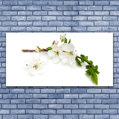 Tableaux sur toile Fleurs branche nature blanc brun vert