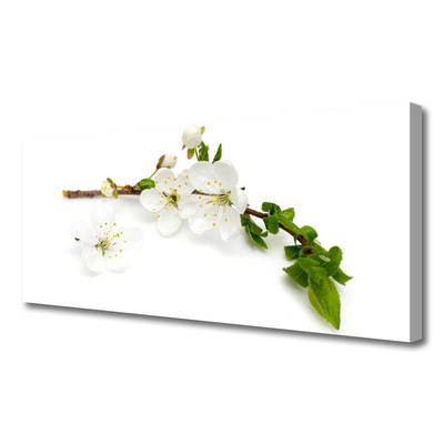 Tableaux sur toile Fleurs branche nature blanc brun vert