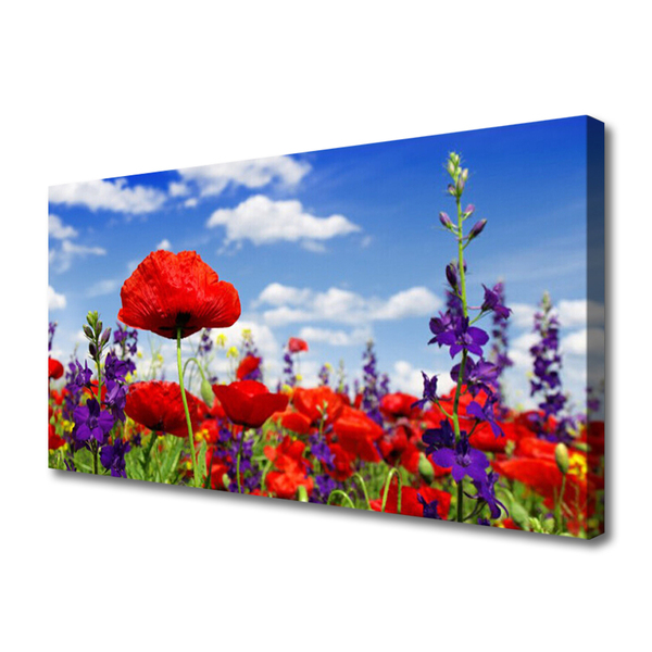 Tableaux sur toile Fleurs nature rouge bleu violet vert